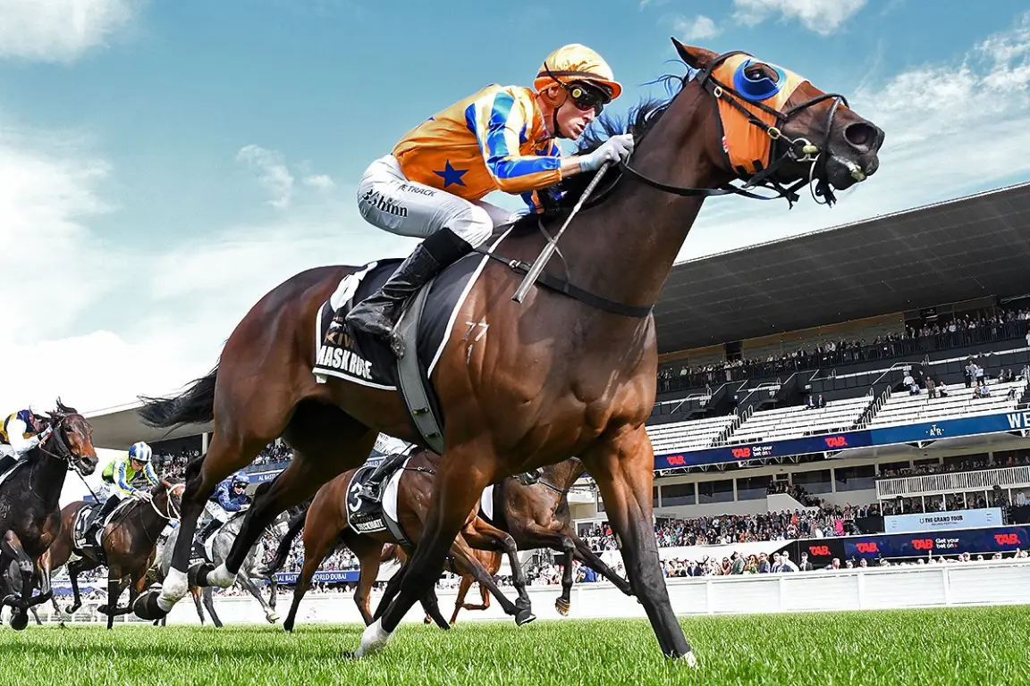 How We Think About Betting on Horses